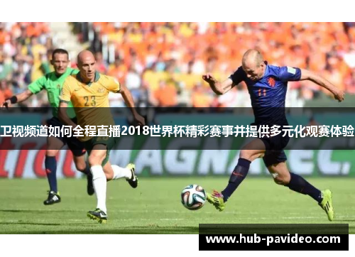 卫视频道如何全程直播2018世界杯精彩赛事并提供多元化观赛体验