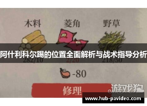 阿什利科尔踢的位置全面解析与战术指导分析