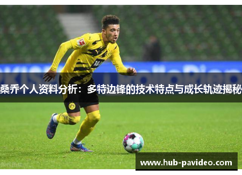 桑乔个人资料分析：多特边锋的技术特点与成长轨迹揭秘